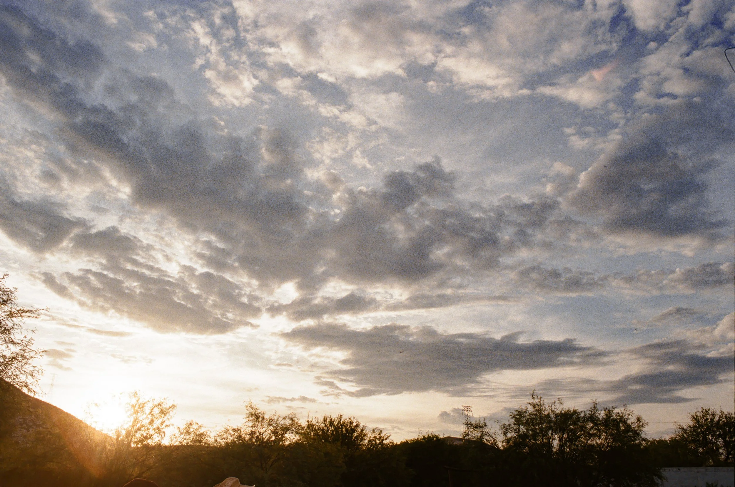 Polvo_Foto_Fija-40.jpg