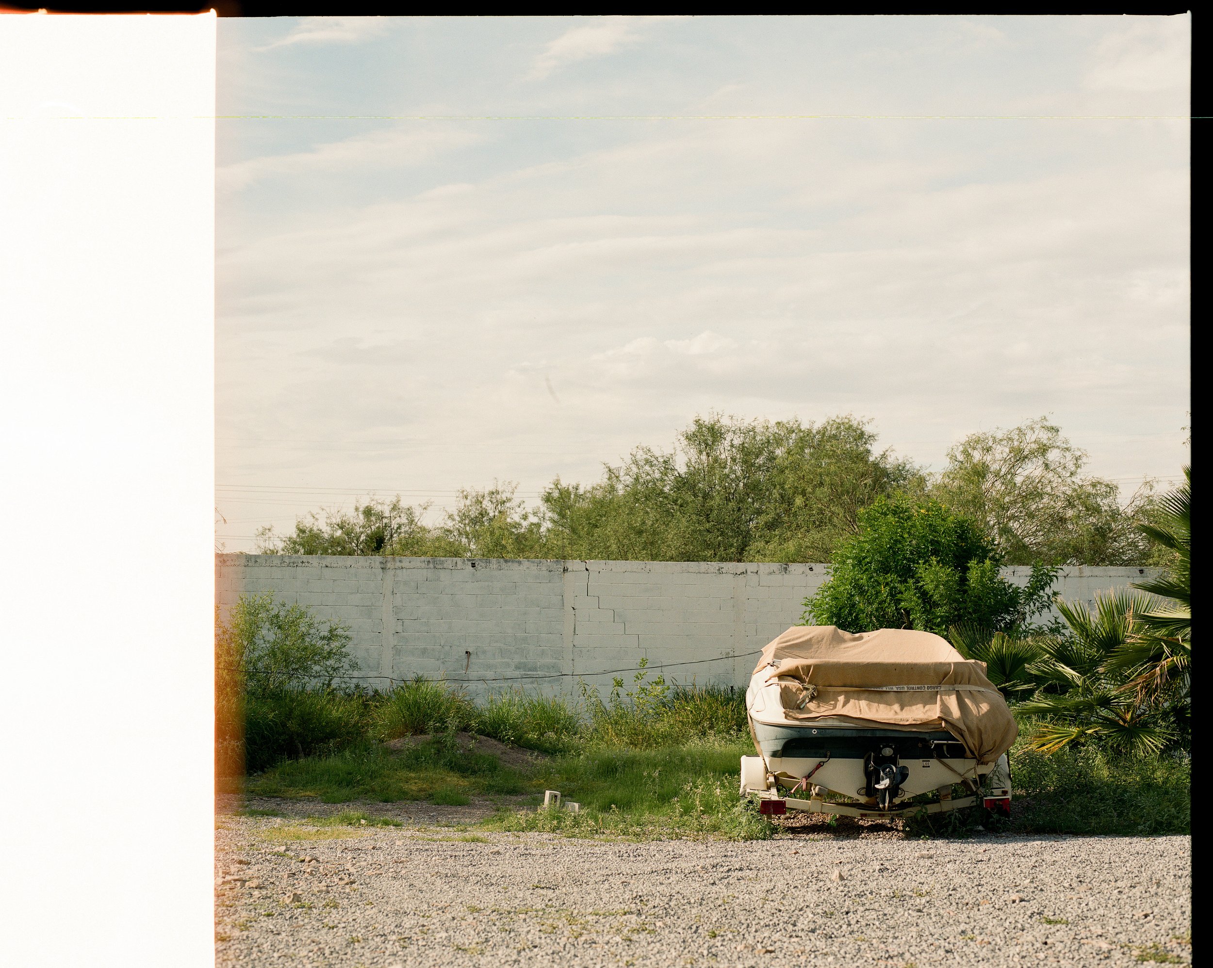 Polvo_Mamiya-2.jpg
