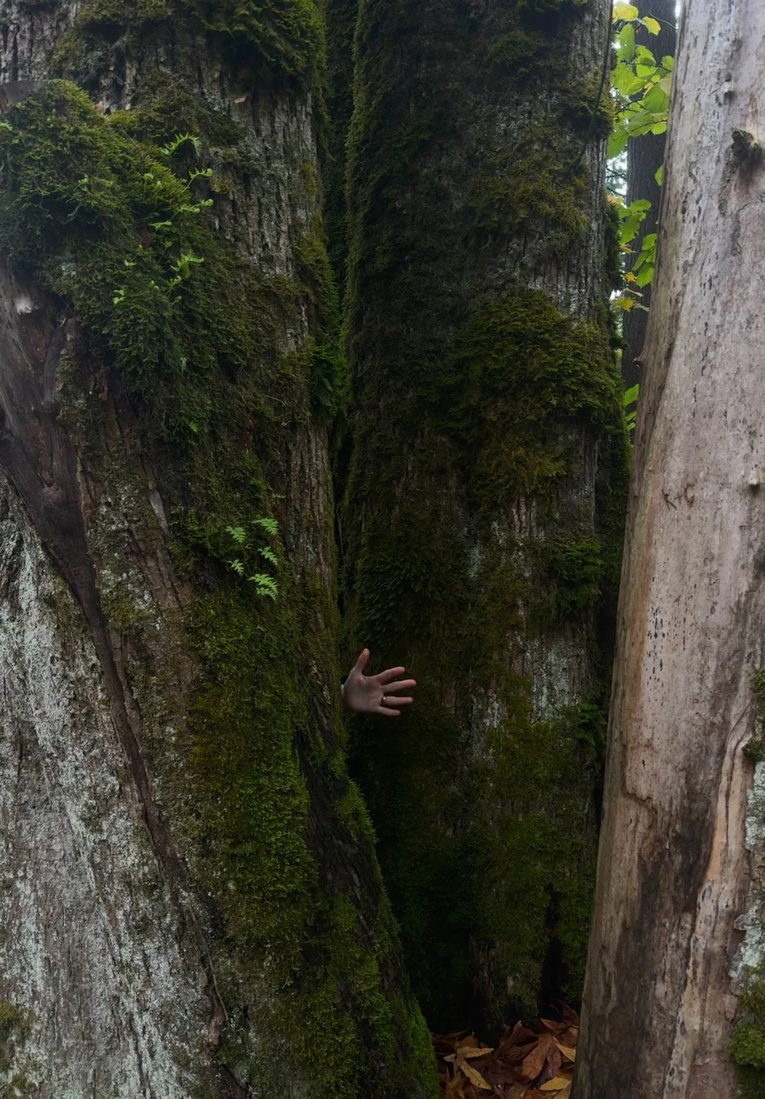 "find the others" an ode to my teachers