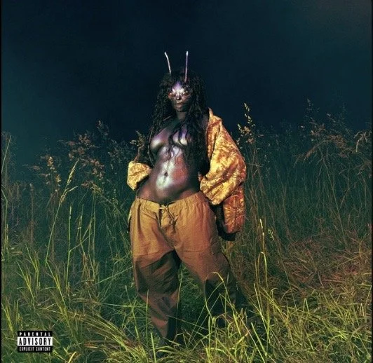 Image 4-14-25 at 14.21.jpeg