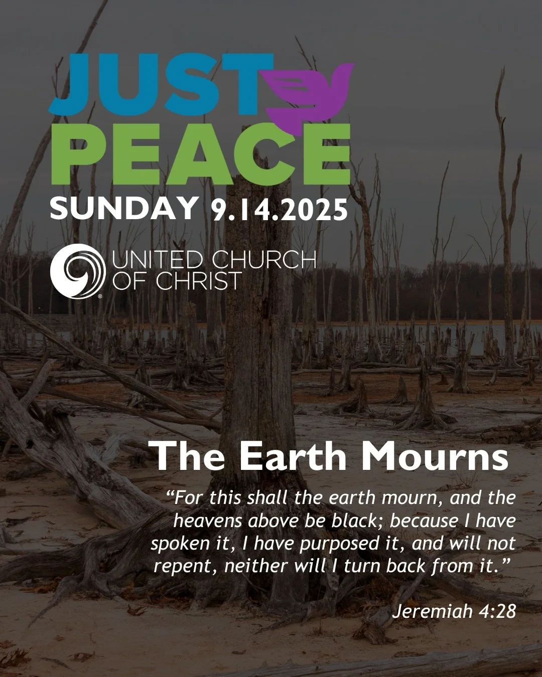 Just Peace Sunday