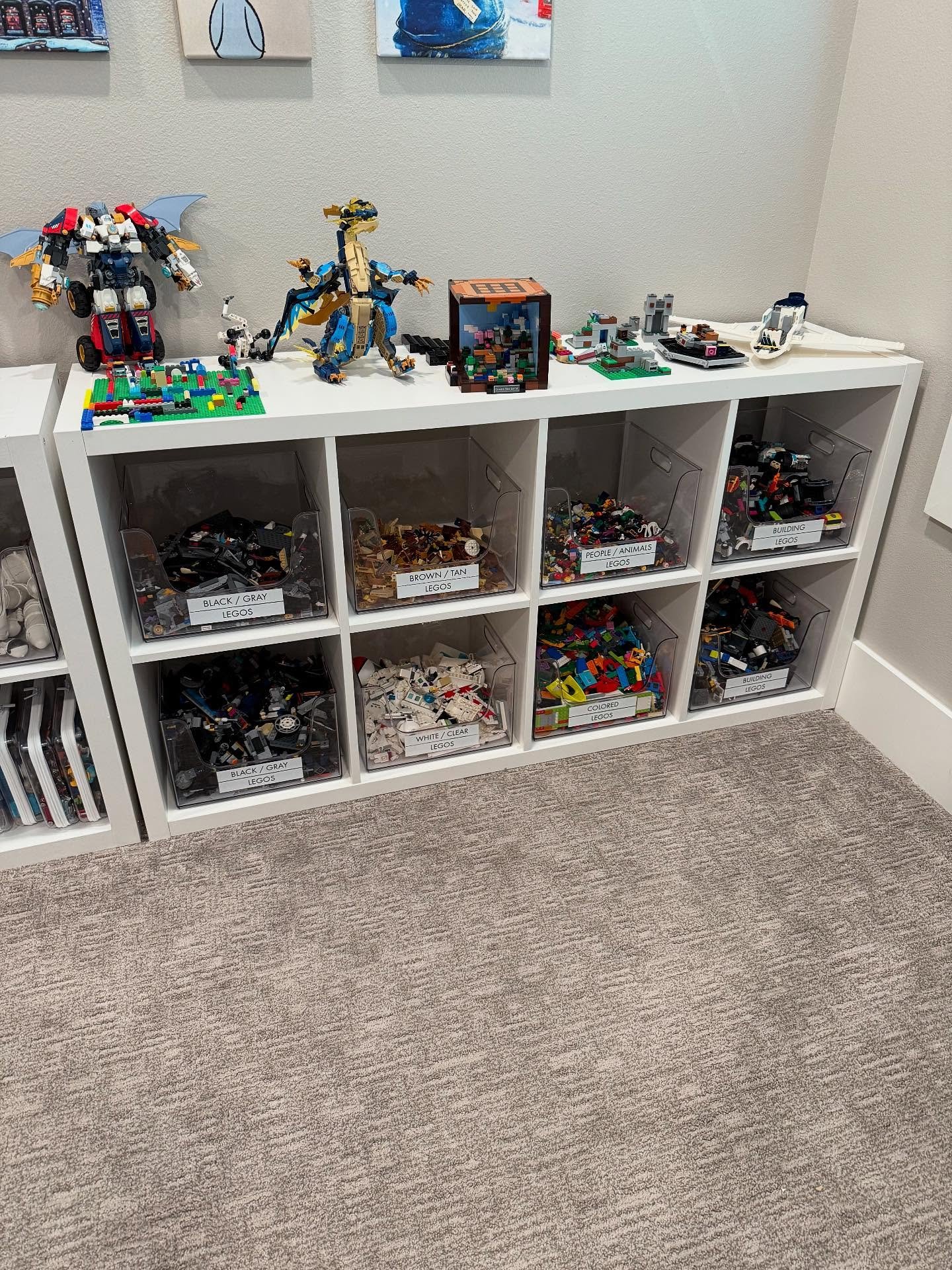 The "Space Whisperers": Meet The Team Turning Lubbock’s Chaos Into Calm