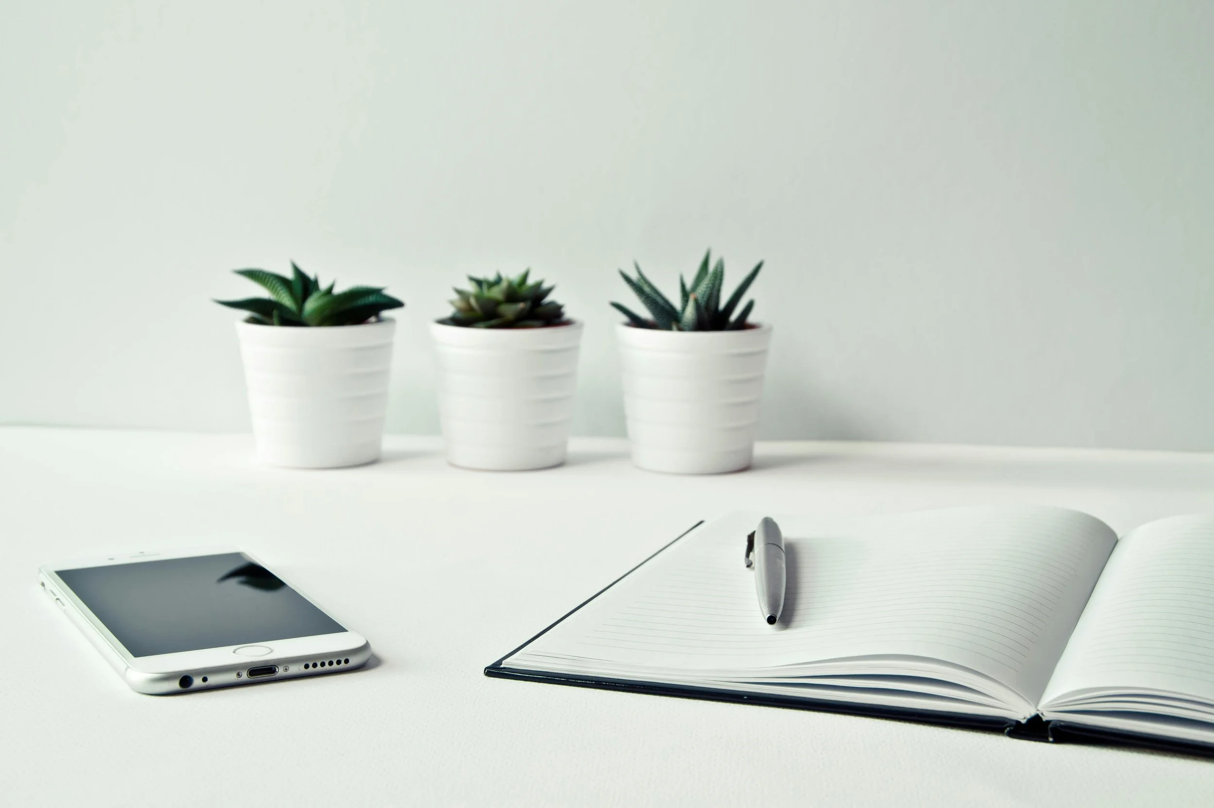 The Grace’s Oasis Effect: Why Organizing is an Act of Self-Respect