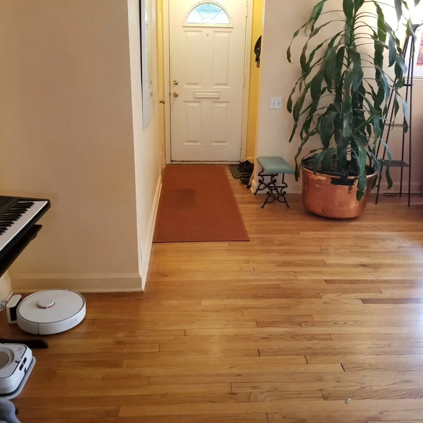 An organized entryway by Third Eye Tidy in Wisconsin, featuring a white door, a red rug, and a large plant on hardwood floors.
