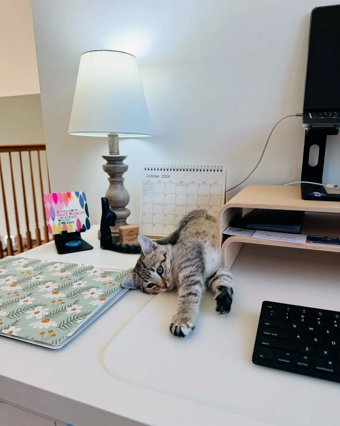 A tabby cat relaxing on an organized white desk with a lamp, calendar, and floral planner.