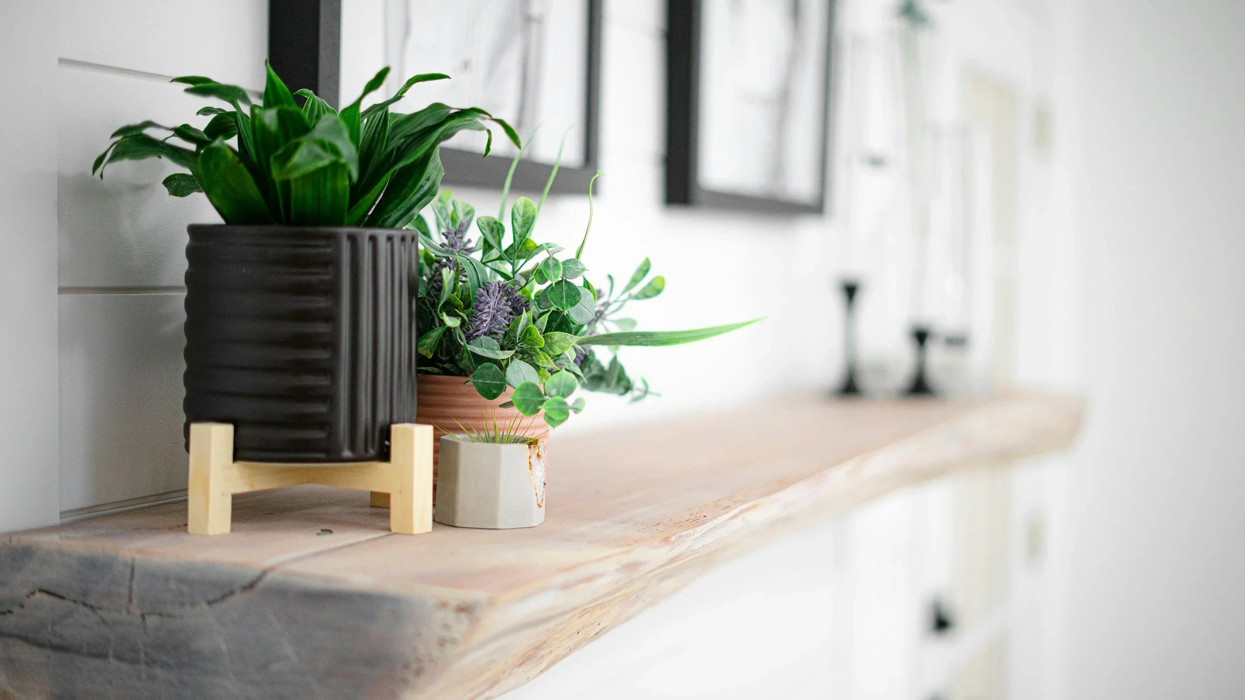 Potted green plants and decor on a natural wood mantle with a white shiplap wall.