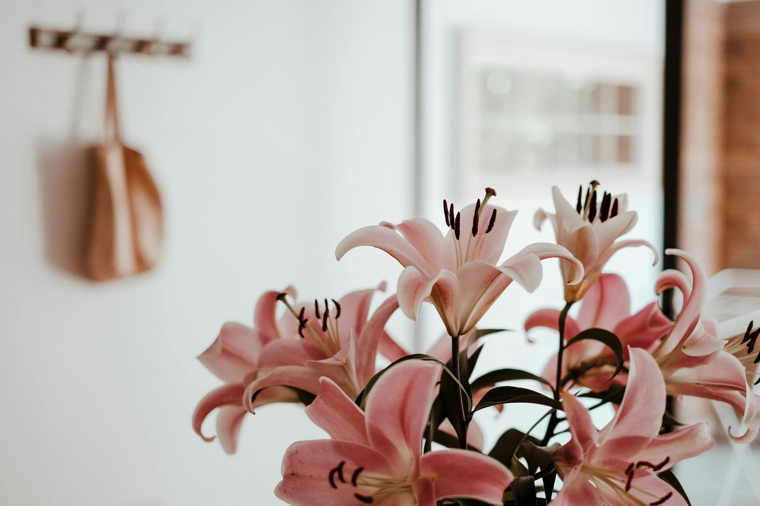 Close-up of a bouquet of vibrant pink lilies in a bright, minimalist room.
