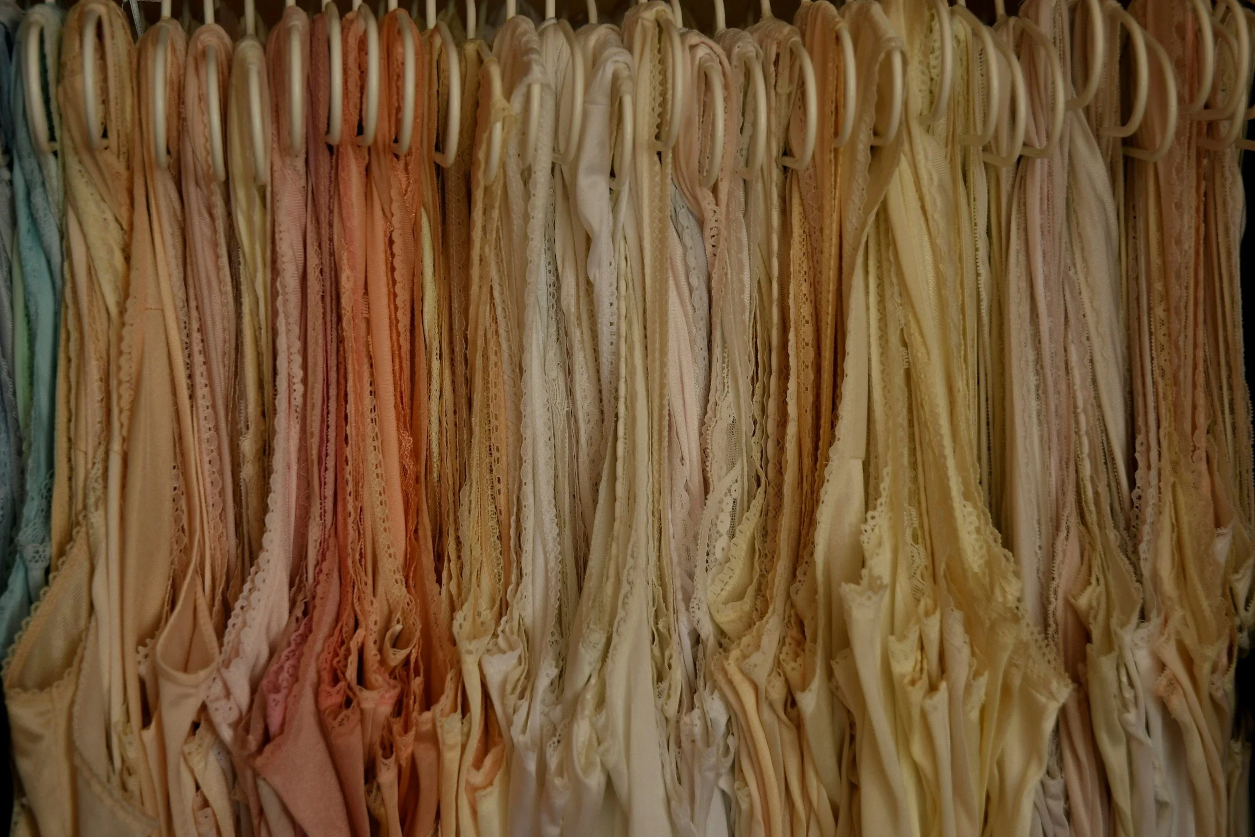 Professional closet organization by Love to Organize! in Palm Springs, featuring a color-coordinated collection of vintage slips and lingerie on hangers.