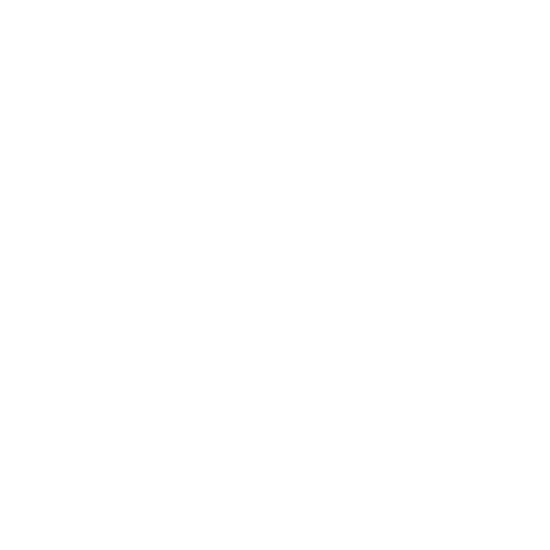 check engine light icon