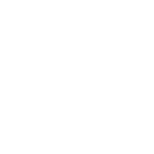 noise icon