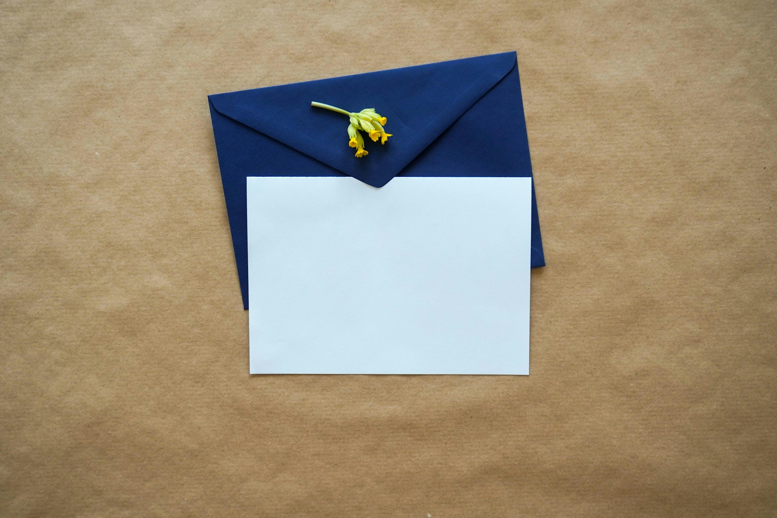 Invitation