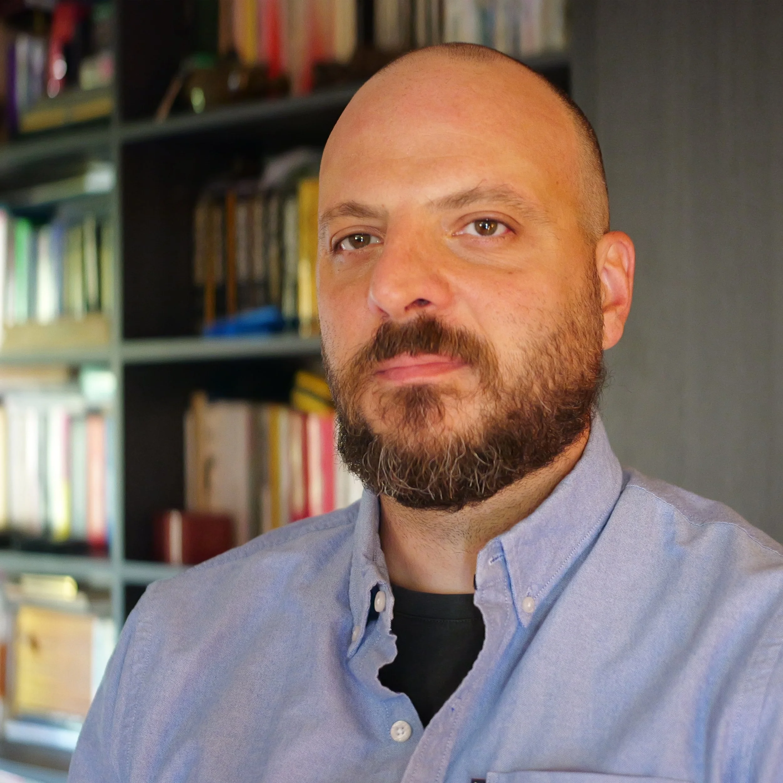 Dusan vulekovic
