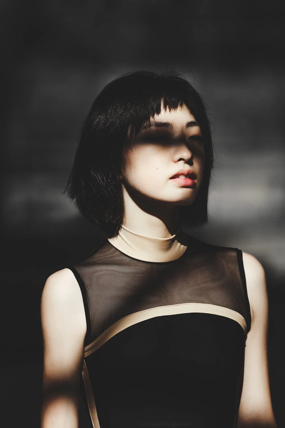 Patricia_Park_1000px_003.jpg