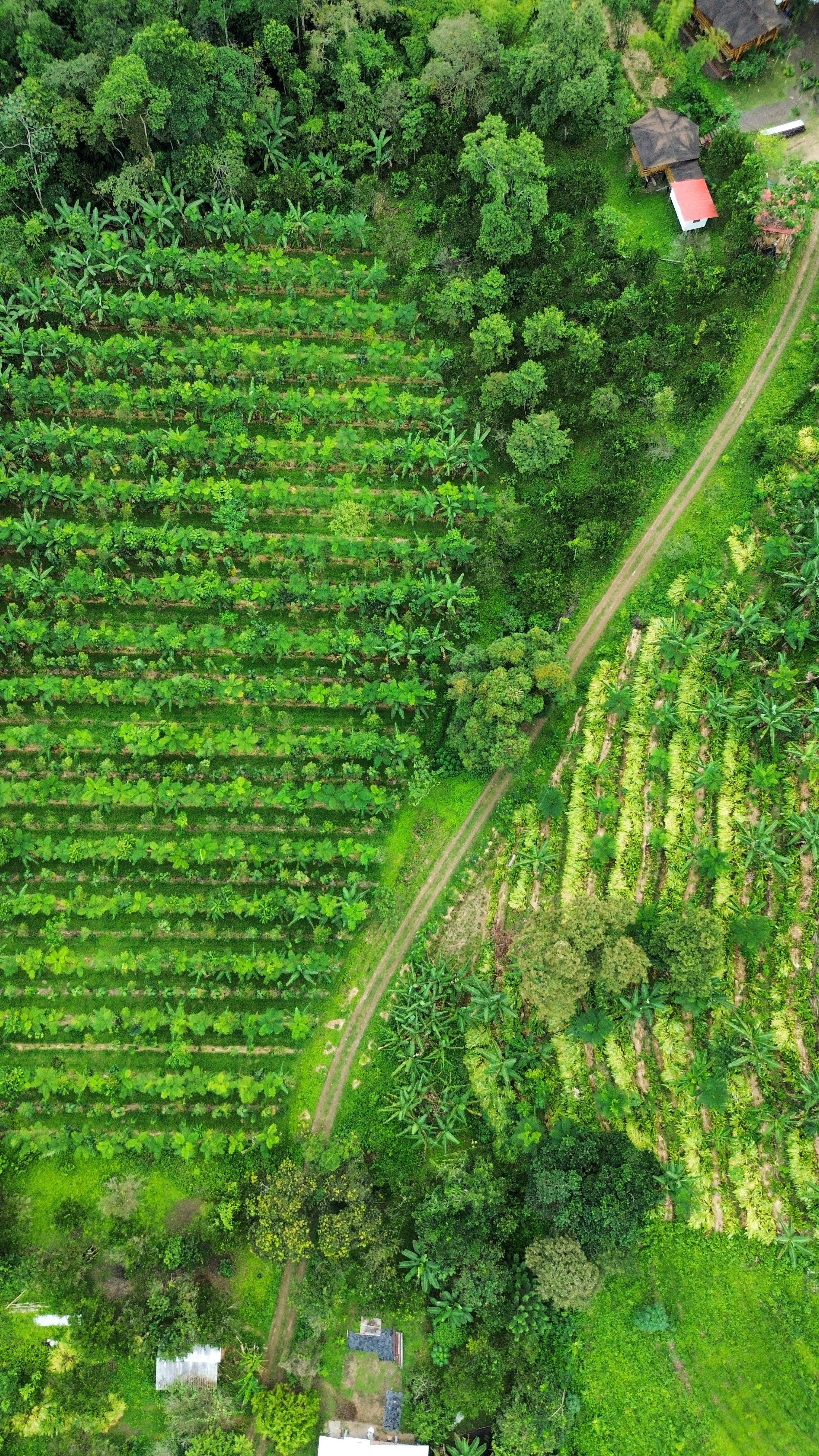 dji_fly_20240706_125702_102_1720315136446_photo_optimized 2.JPG