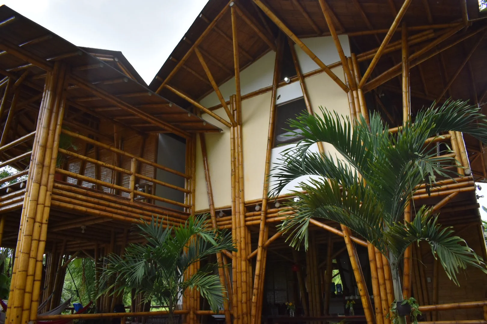 Jonathan DSC_0169.JPG