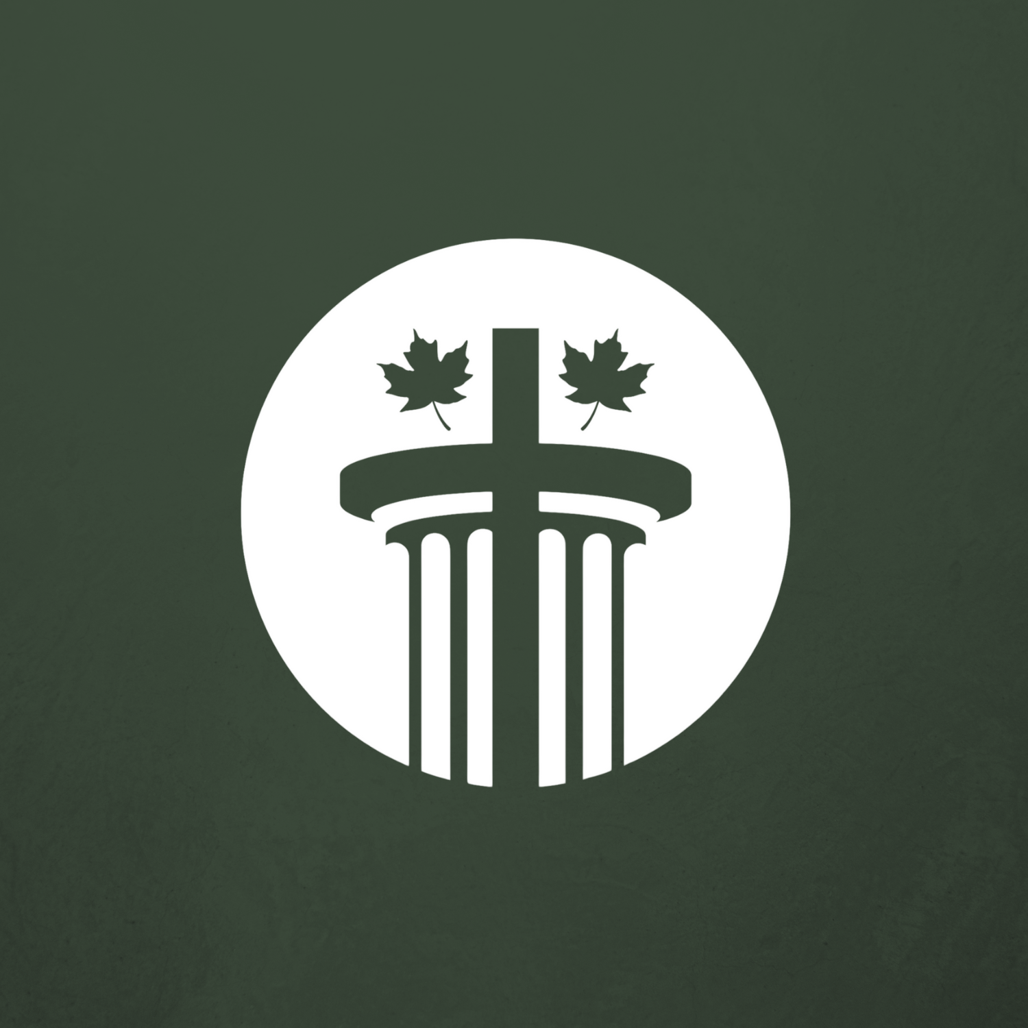 Mockups for Website.png