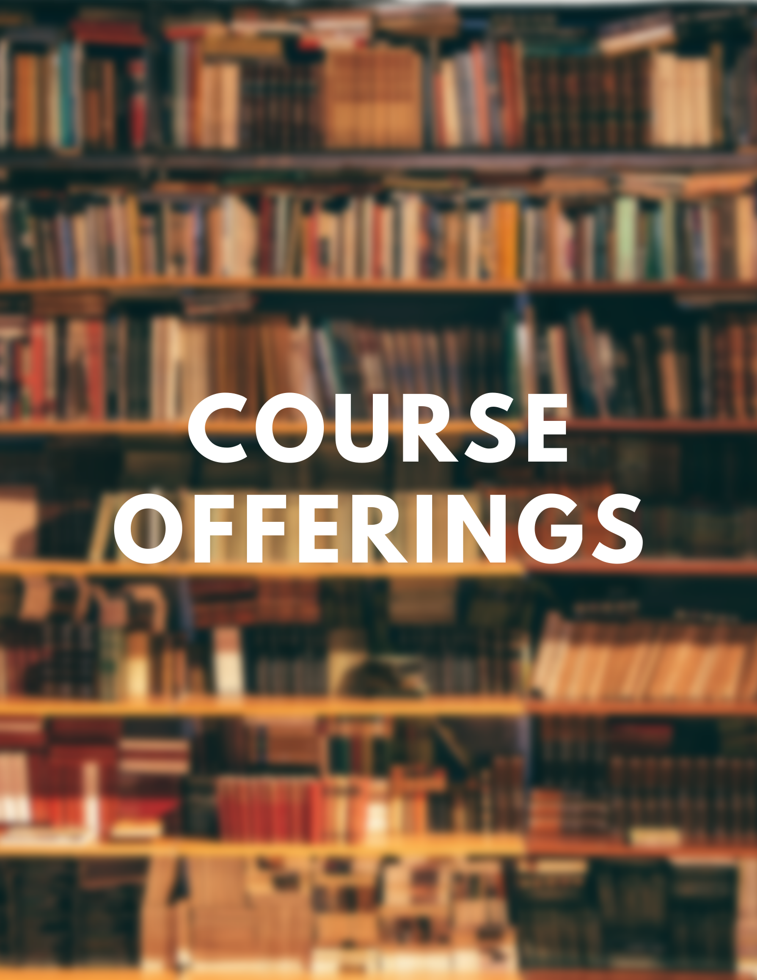 Discovery - Course Offerings.png