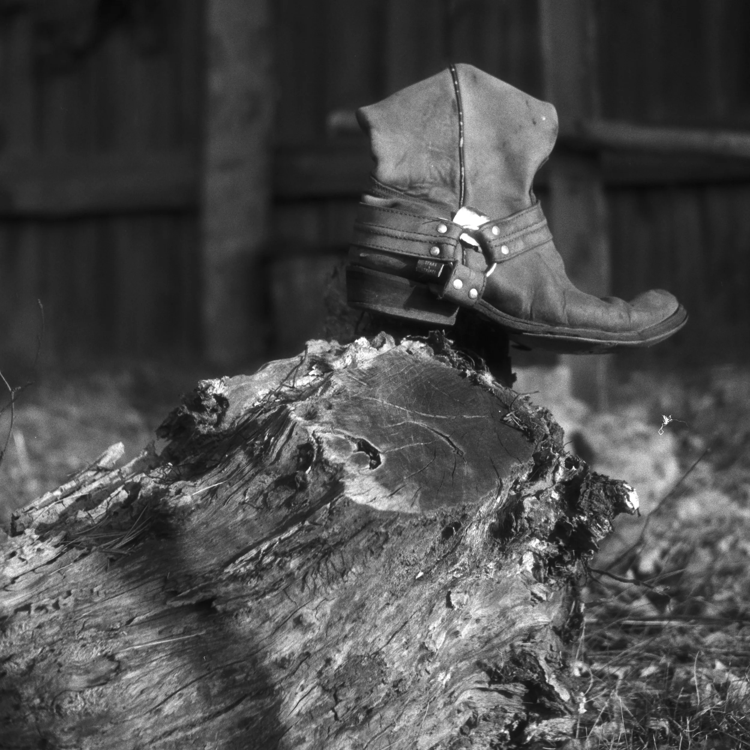 ELdorado-07-26-26.jpg