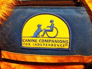 Patch with "Canine Companions for Independence" logo on a vest.