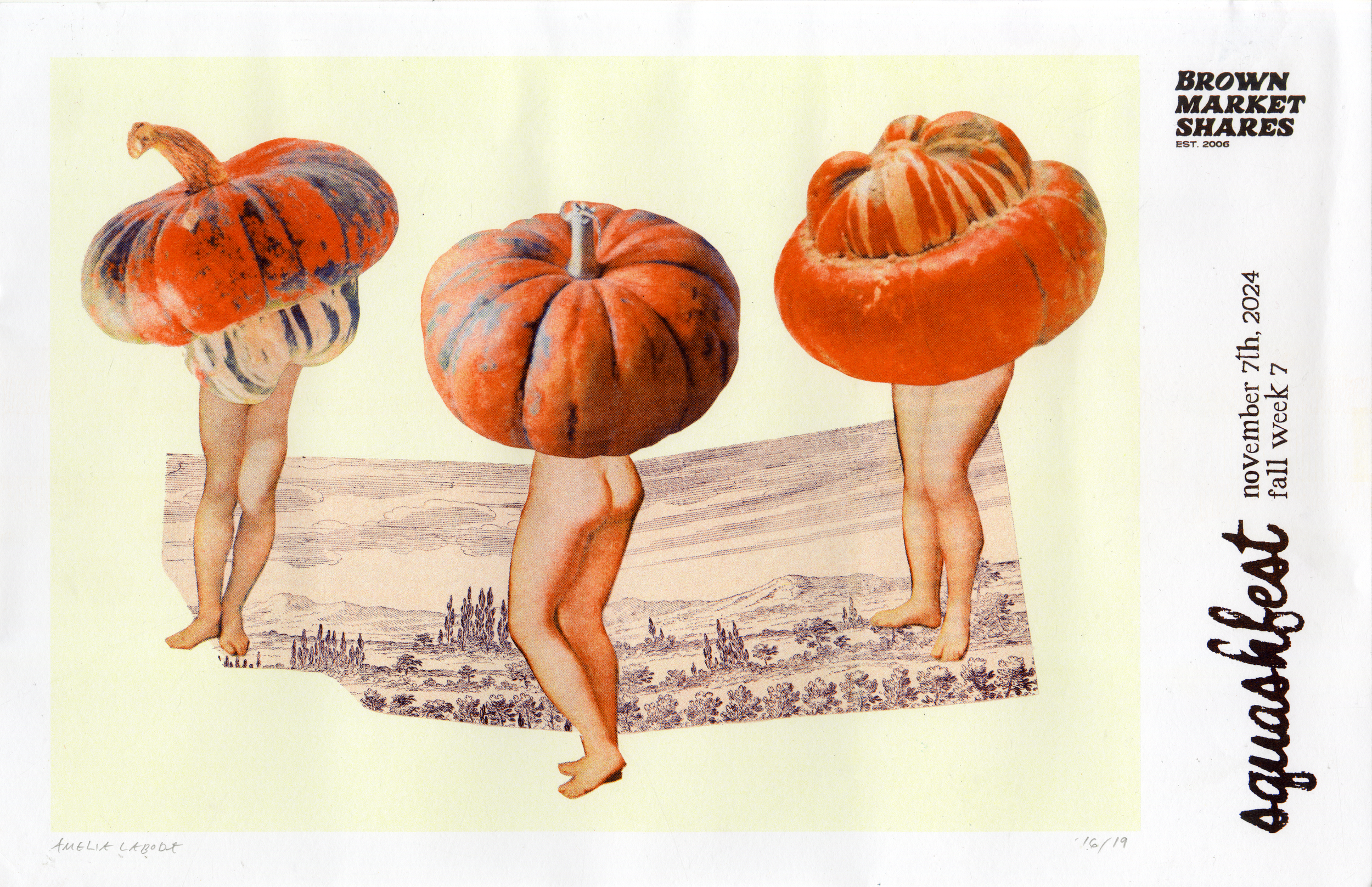 squash0001.png