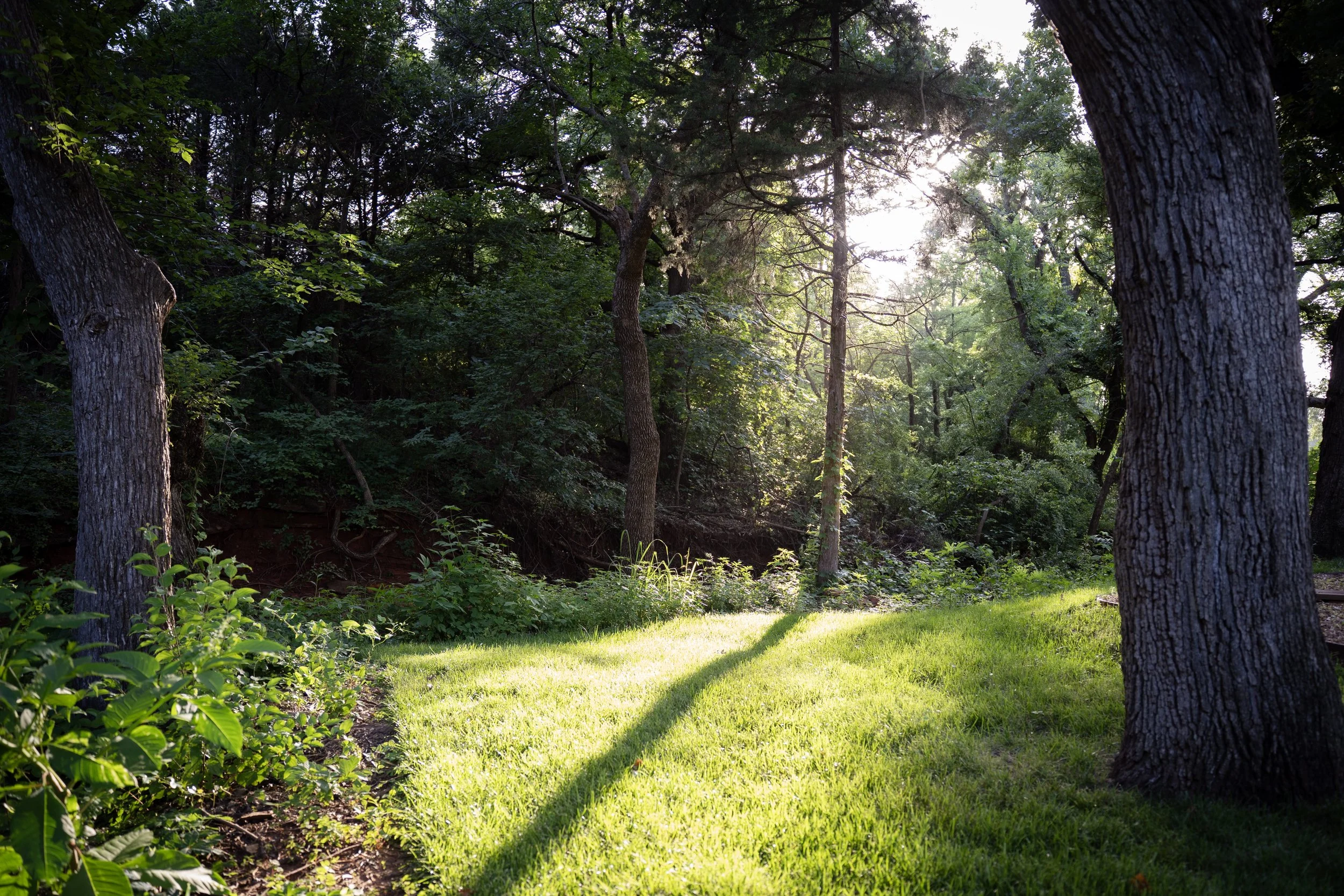 DSC09129 (2).jpg