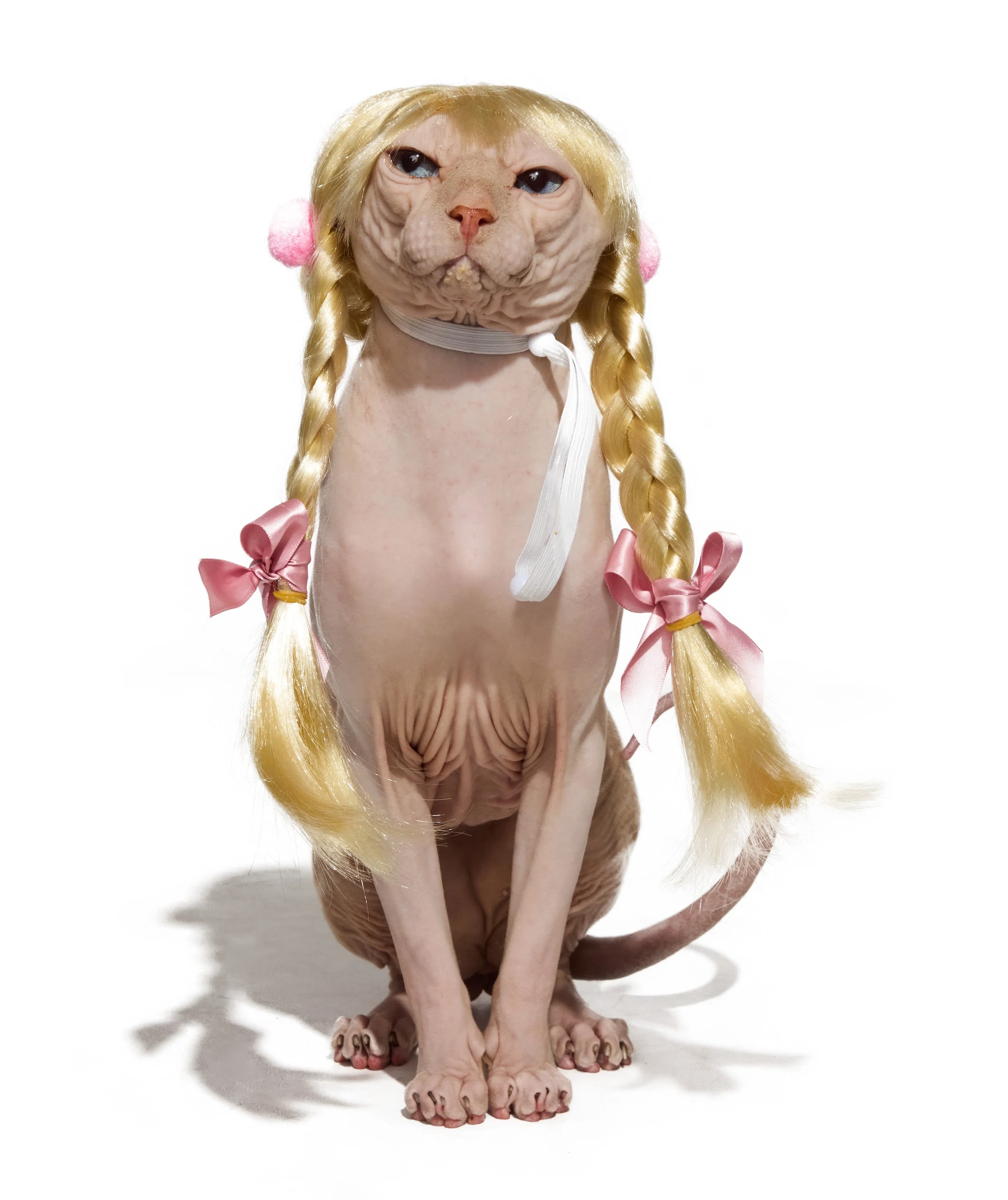 24-1900150-4018401-CAT-3.jpg