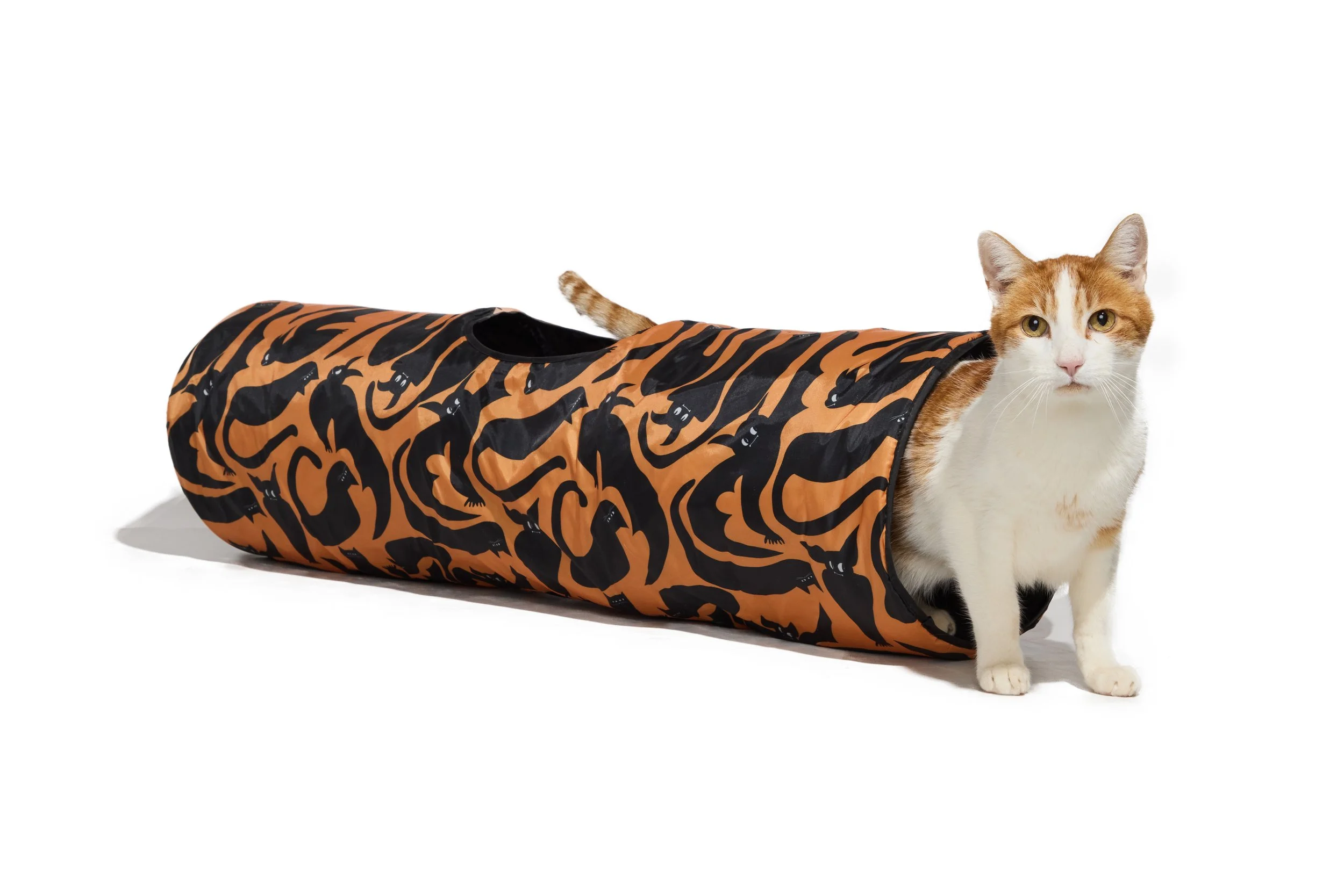 24-1900150-4017766-CAT-5.jpg
