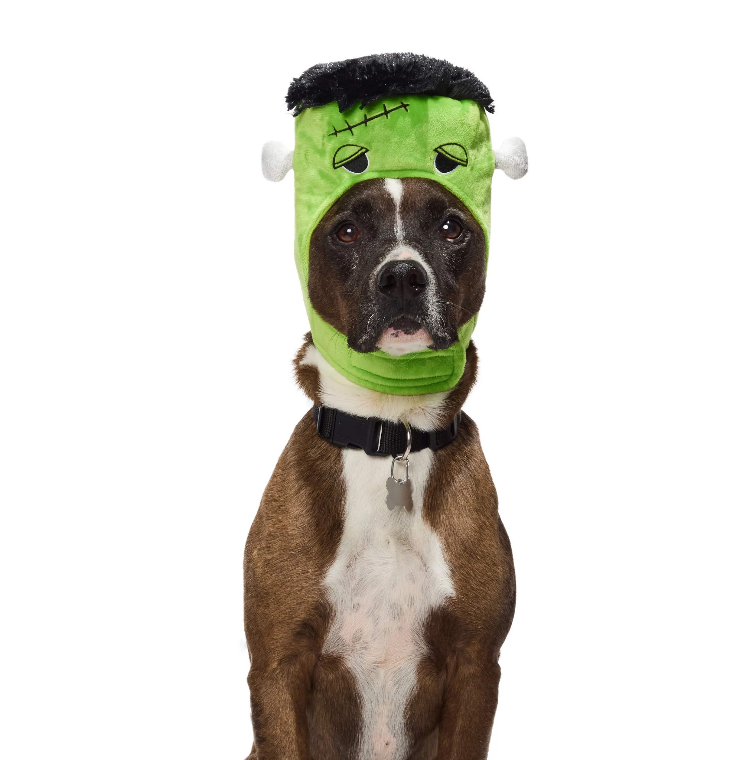 24-1900150-4018646-DOG-3.jpg