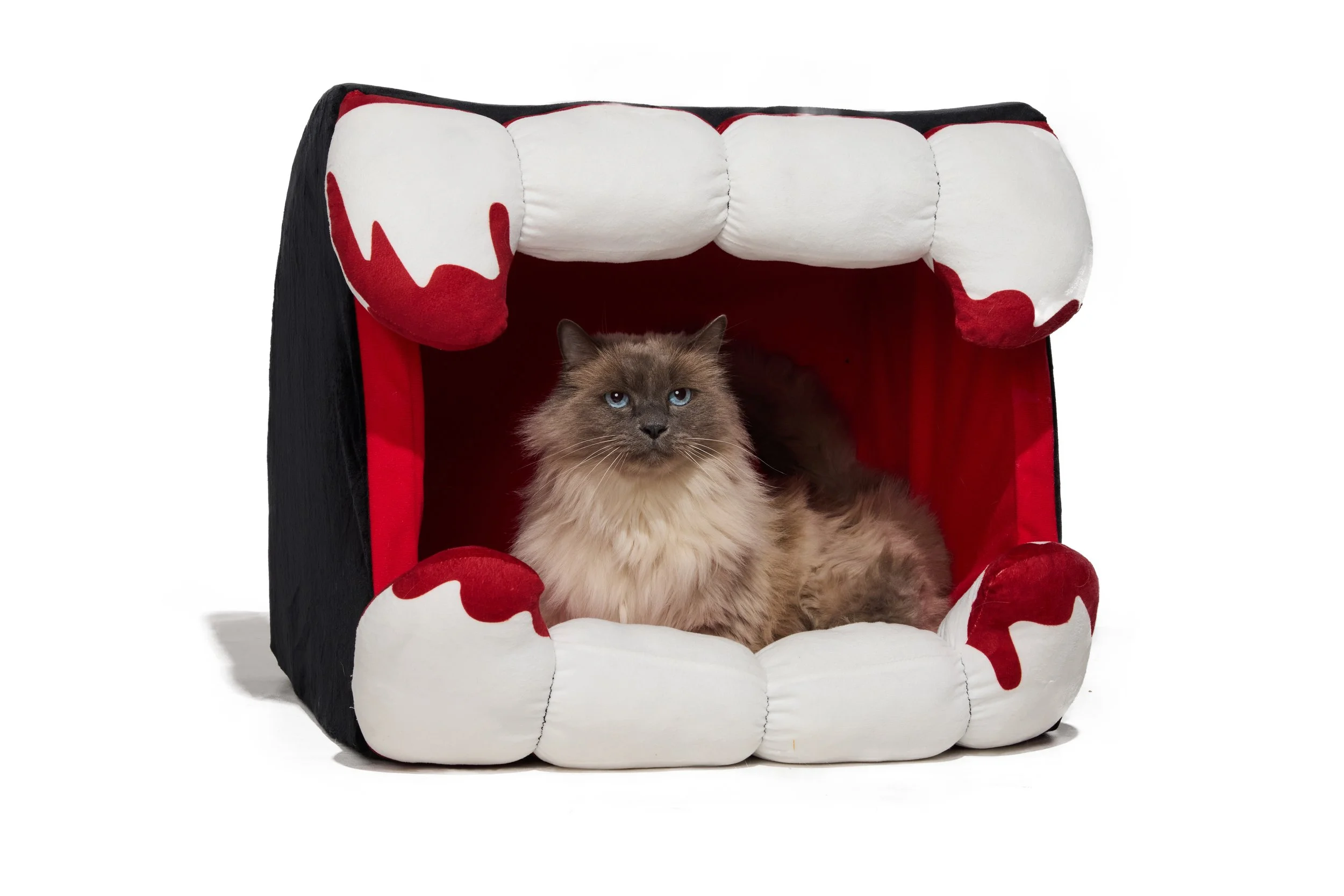 24-1900150-4017176-CAT-2.jpg