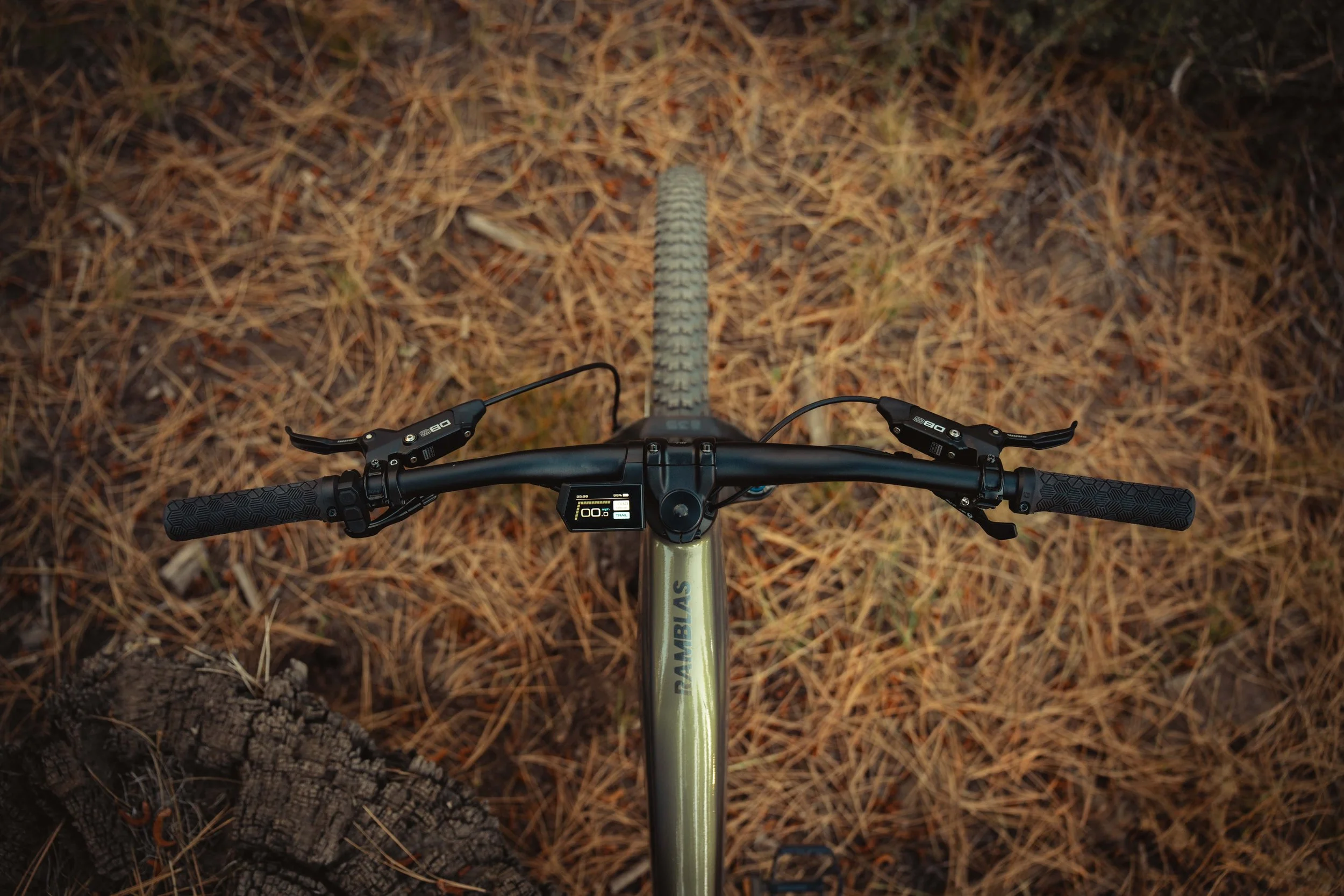 BR507817-min.jpg