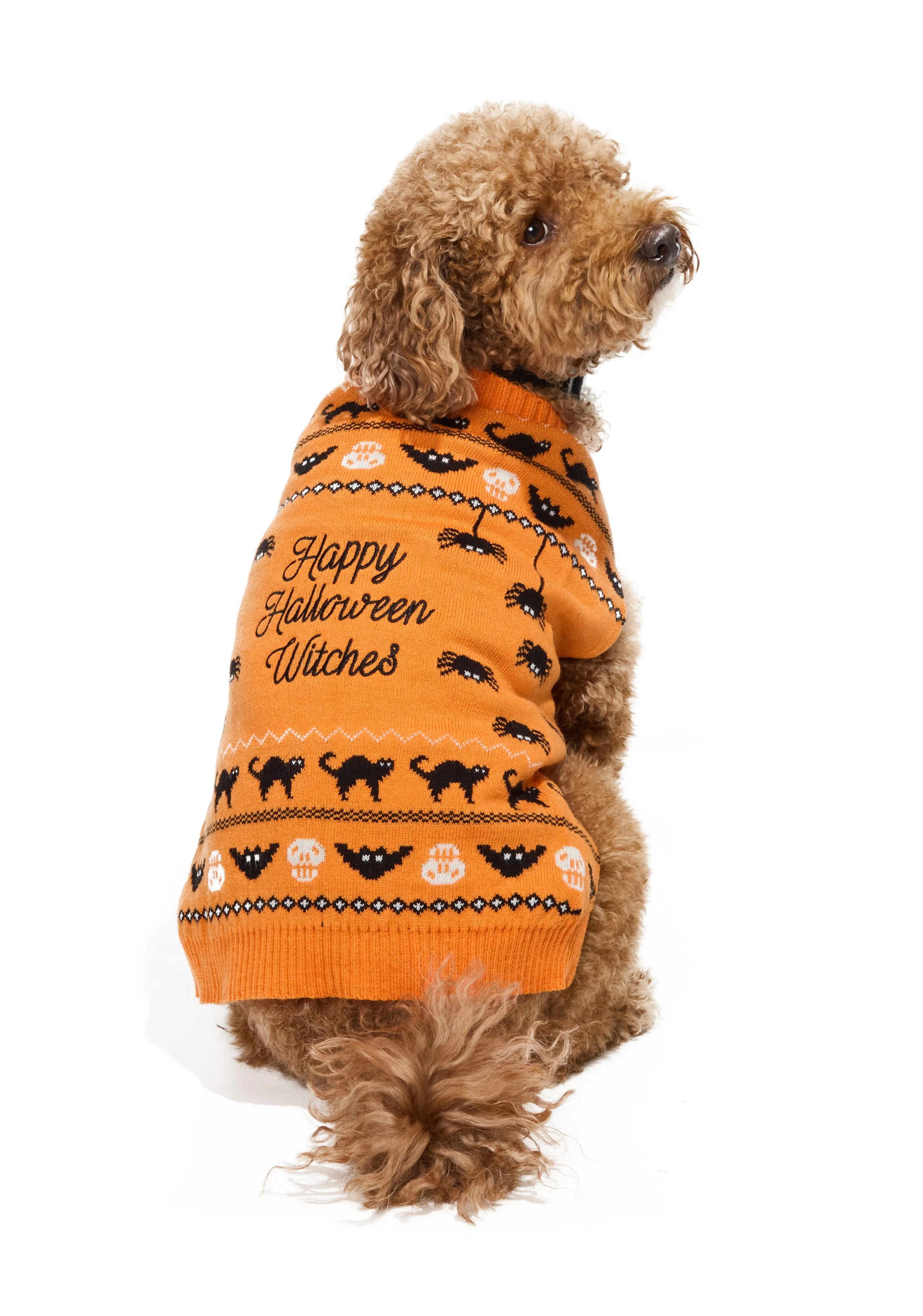 24-1900150-4331510-DOG-2.jpg