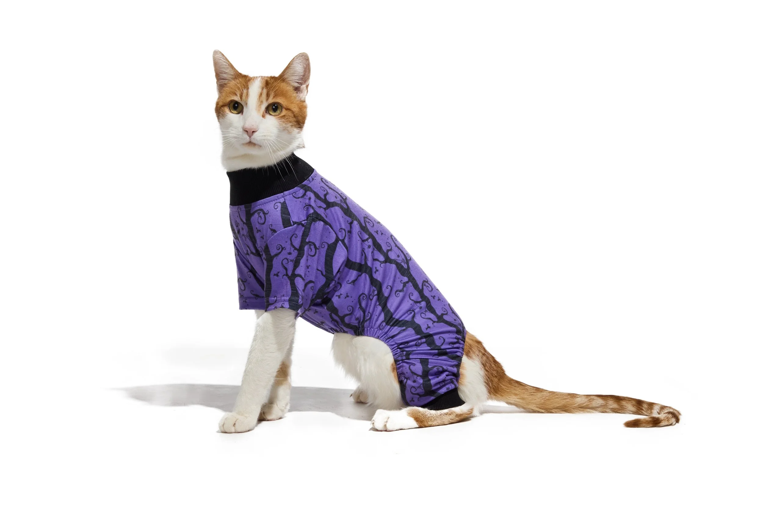 24-1900150-4018259-CAT-3.jpg