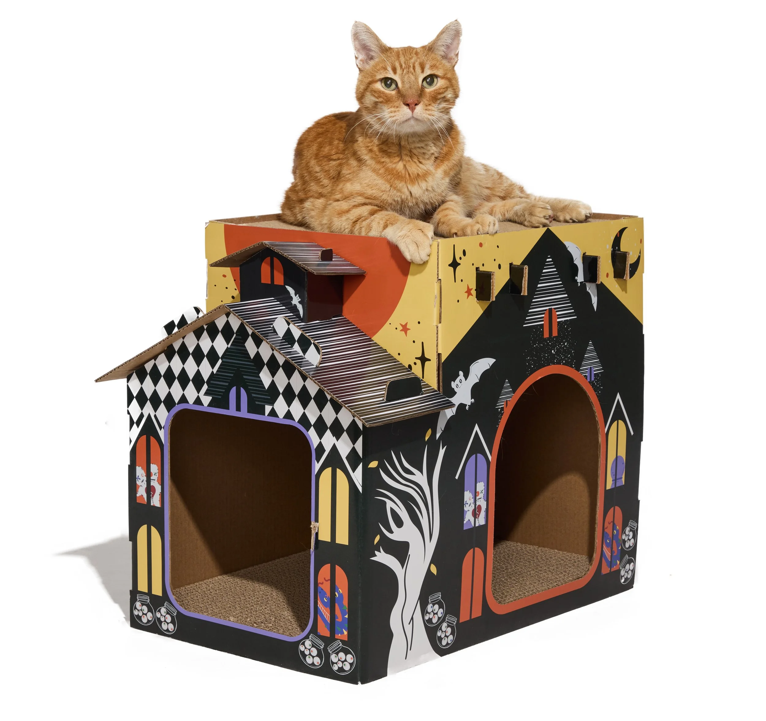 24-1900150-4017774-CAT-6.jpg