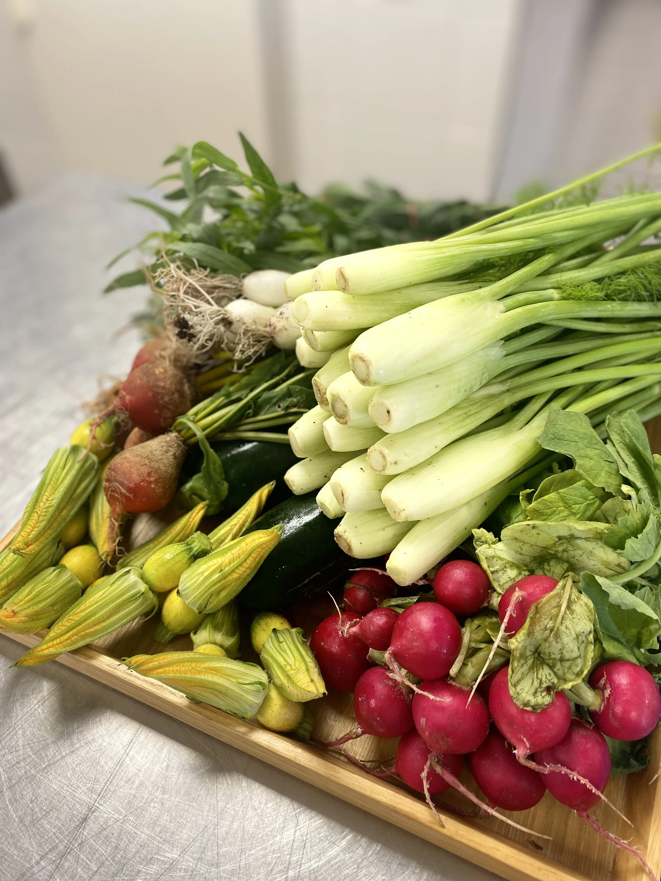 Fresh vegetables including radishes, green onions, zucchini, and other greens arranged on a wooden tray.