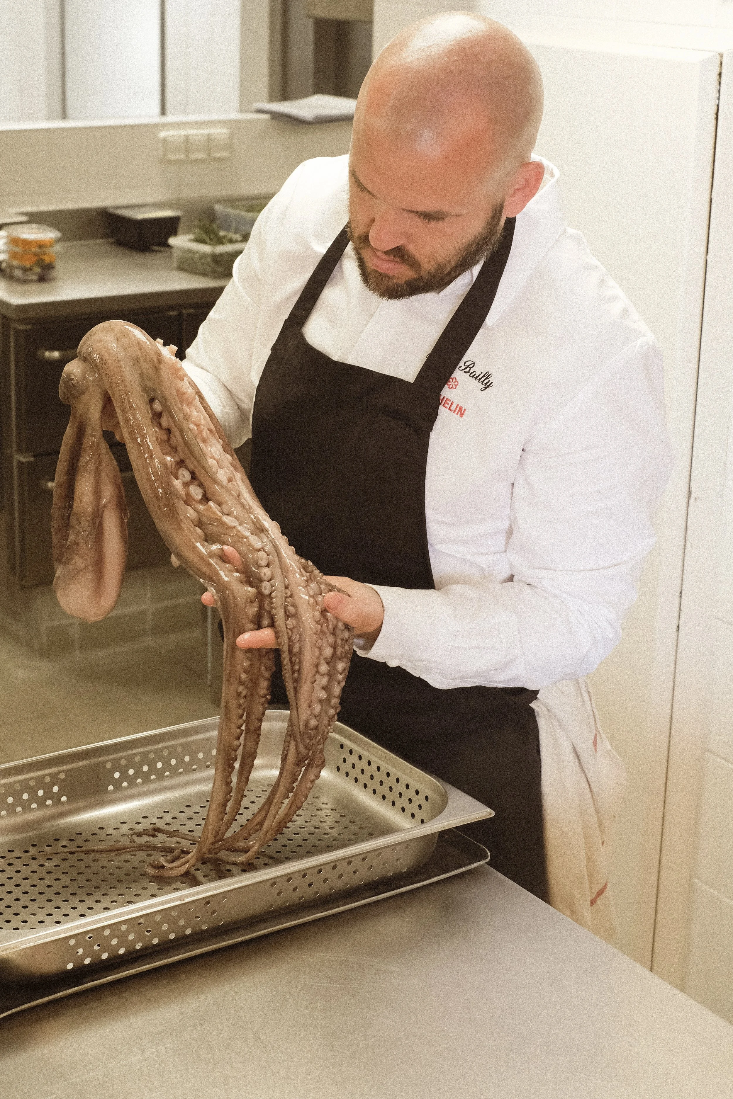 A chef holding a live octopus in a kitchen setting.