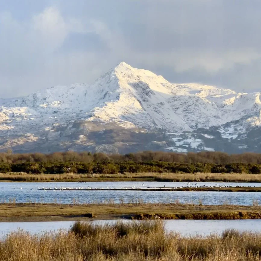 Scenic landscape with snow-capped mountains, rolling hills, and a modern house in the foreground.
