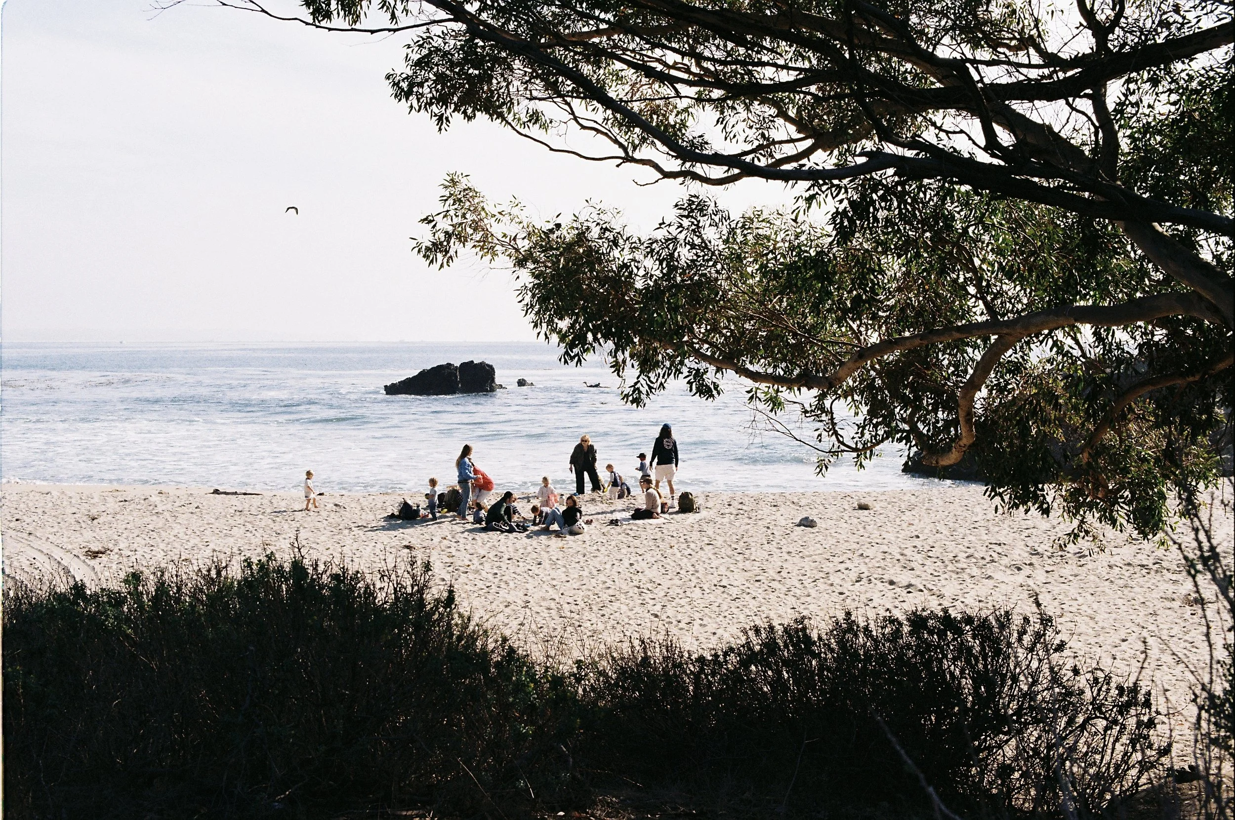 Close Up / Preparing red meat on the barbecue grill.