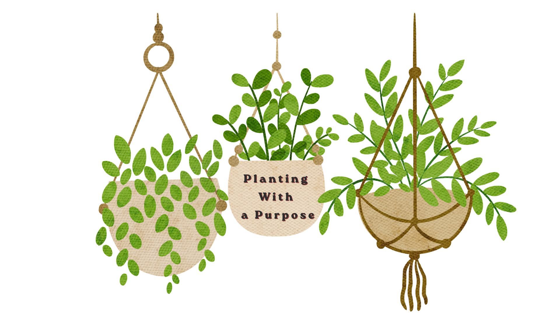Planting With a Purpose