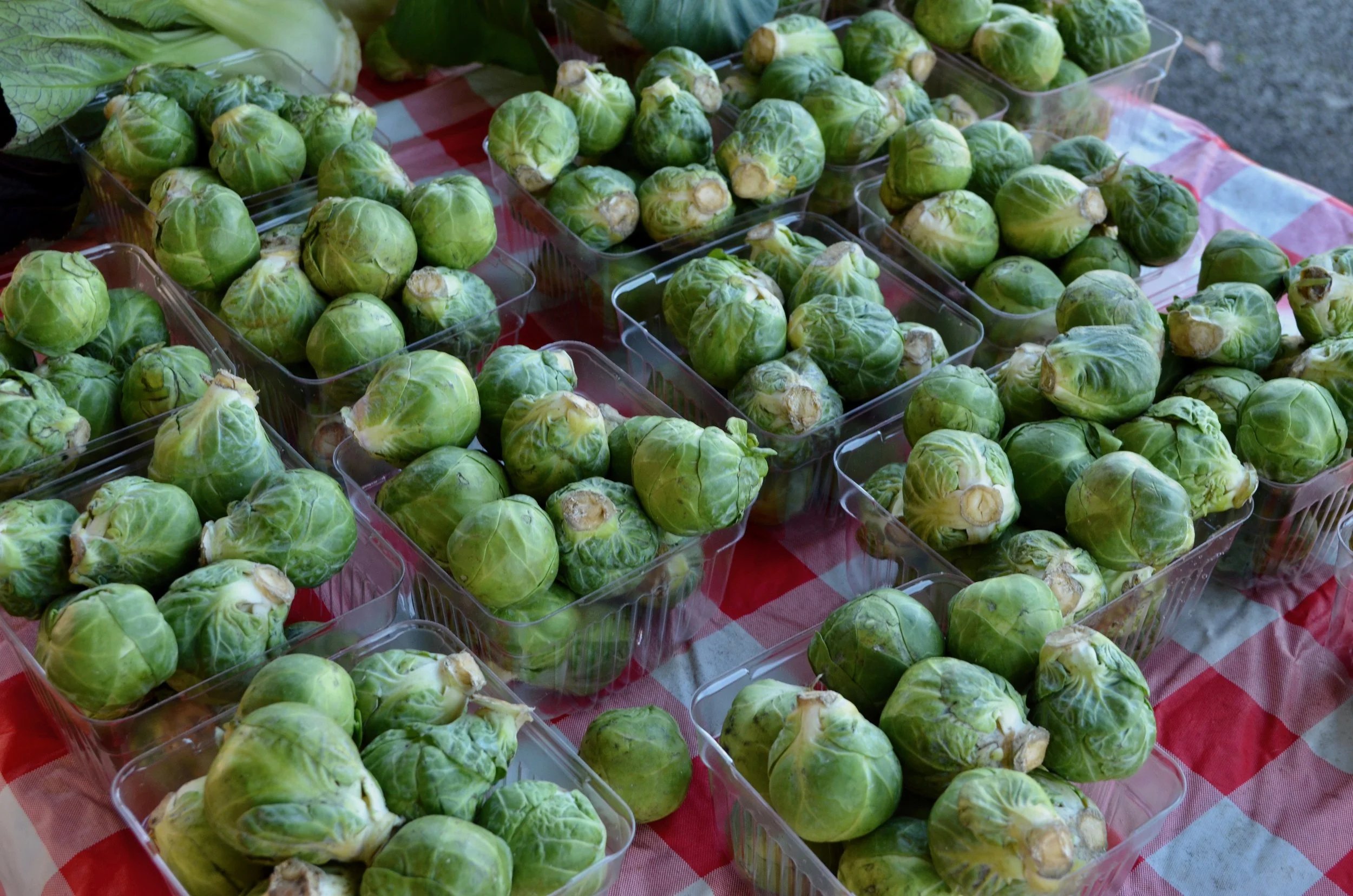 Welcoming the CFM Blog!