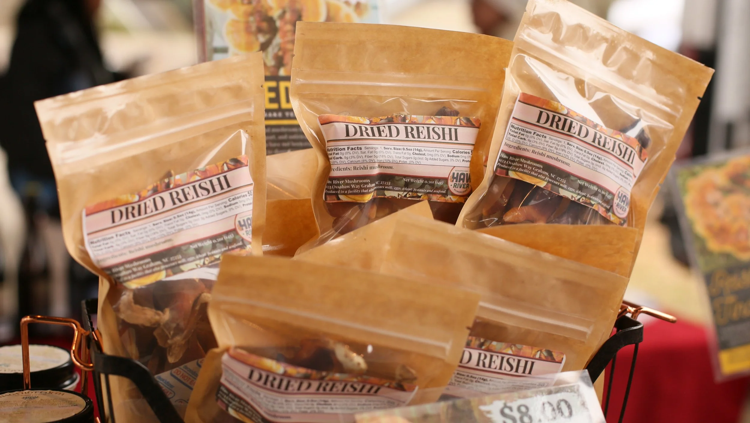 1_18_25 Haw River Mushrooms  (2).JPG