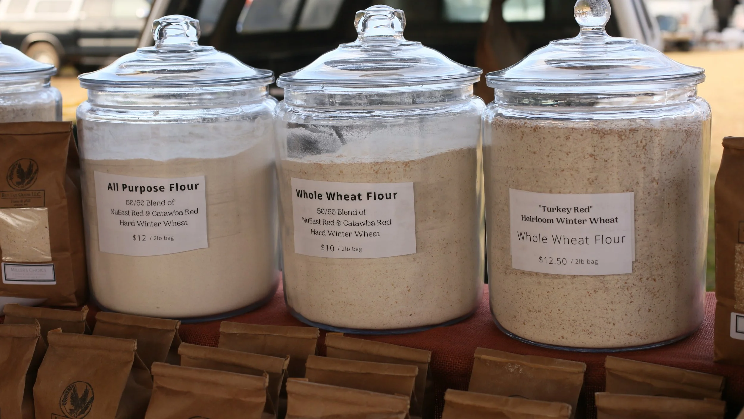 Red Tail Grains 12_14_24.JPG