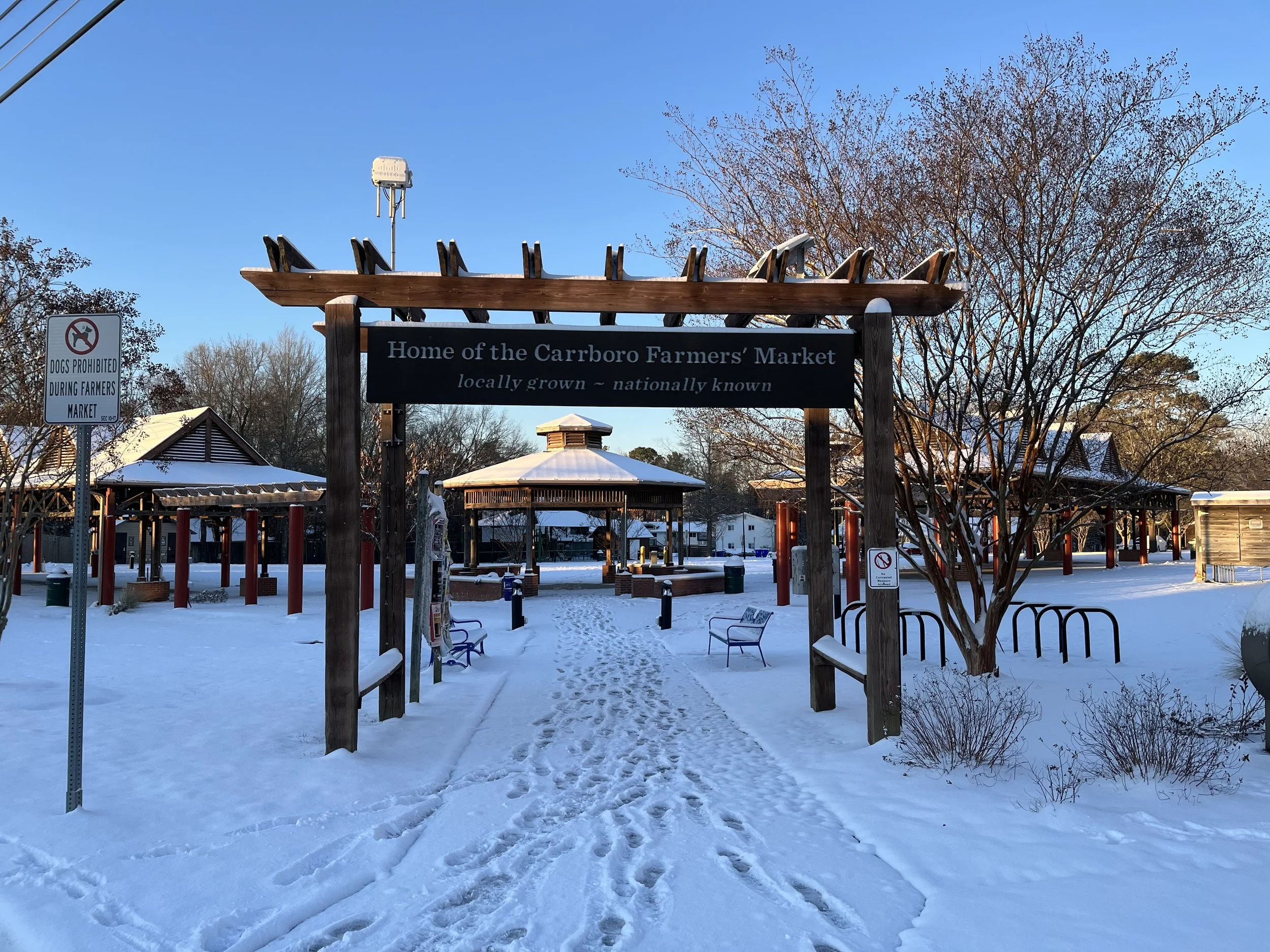 10 Veggies to Try this Winter Season