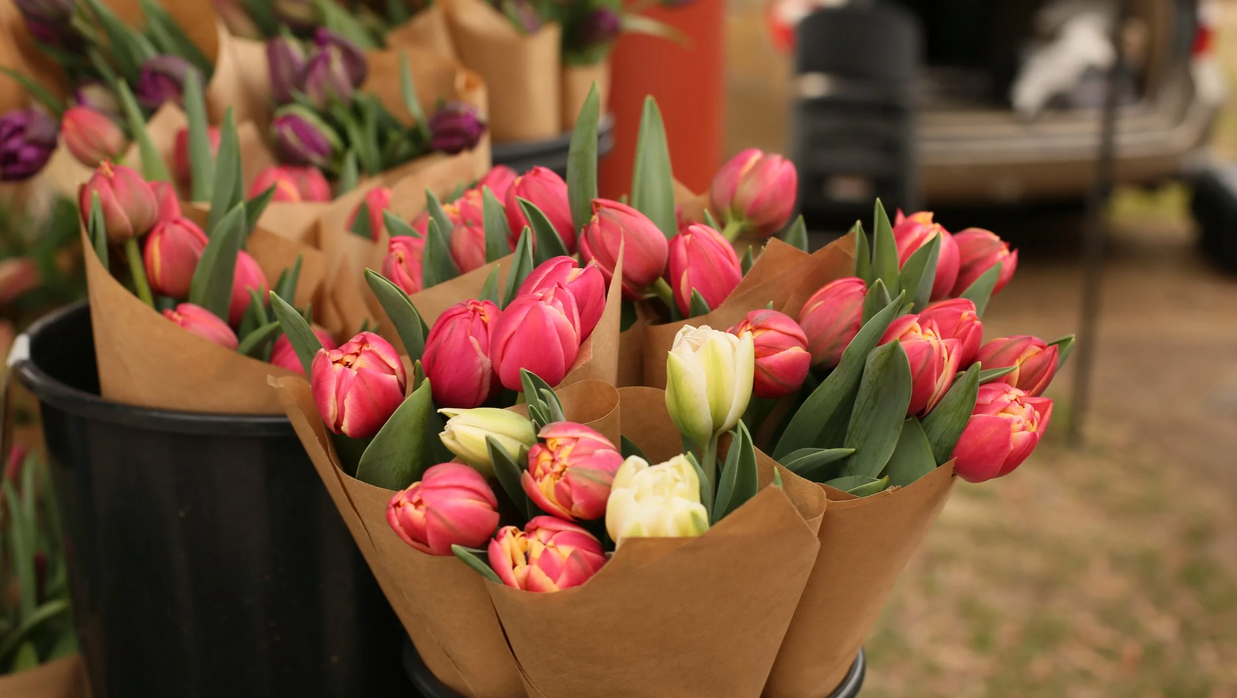 What CFM Staff Love About the Market