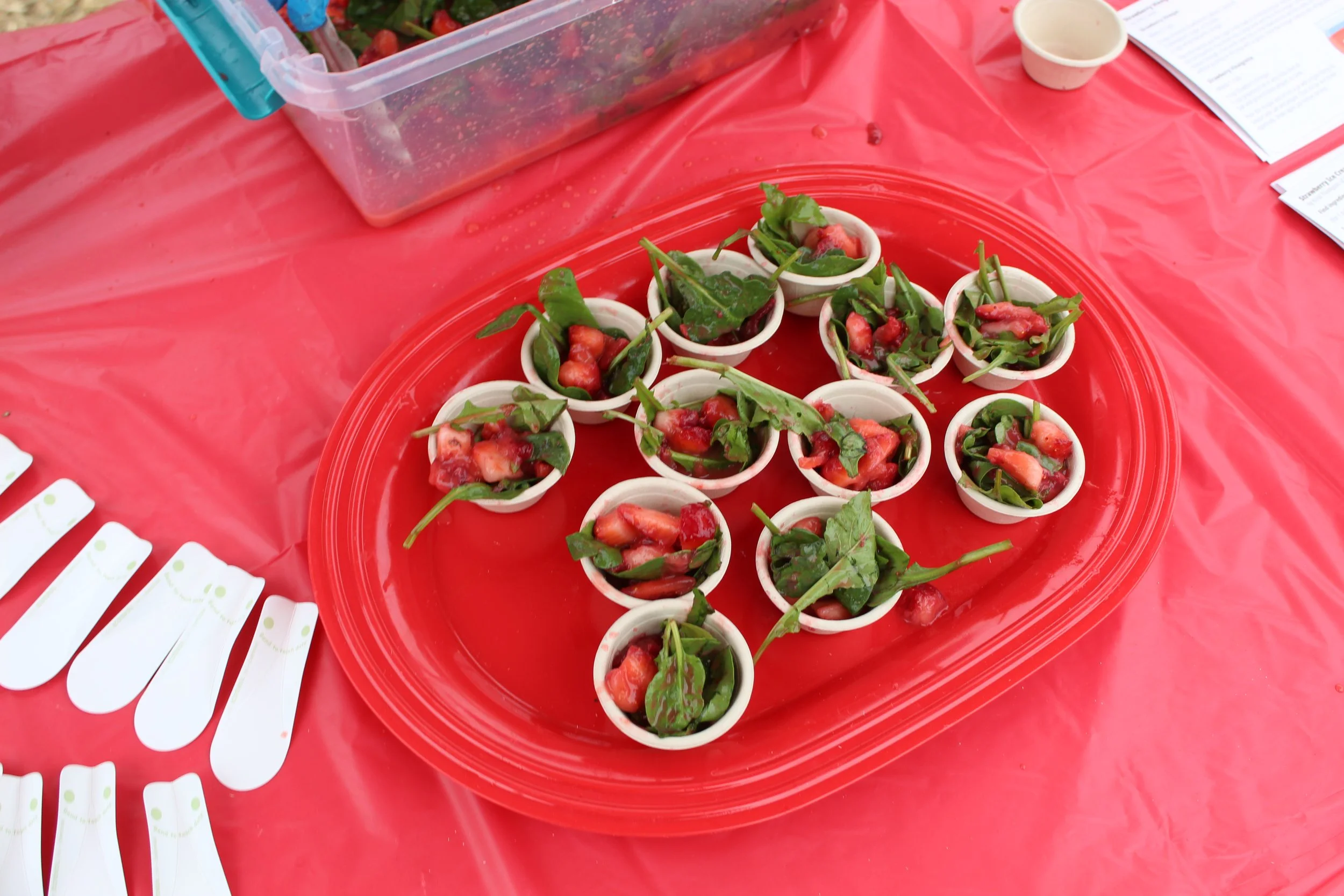 strawjam strawberry salad sample 5.2.26.jpeg