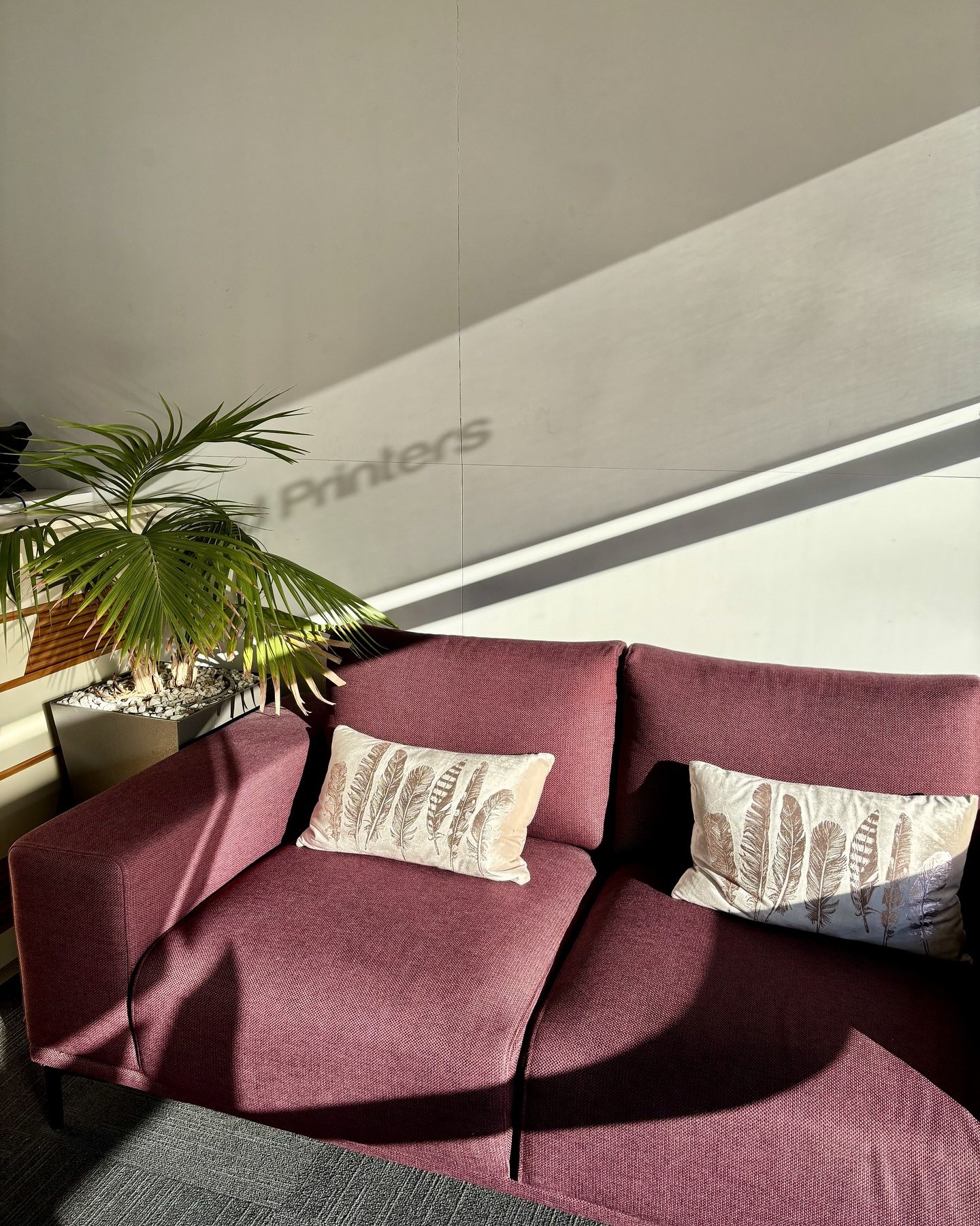 Rise and shine - we love the way the early morning light reflects here at Razz to start our day! ✨🌞