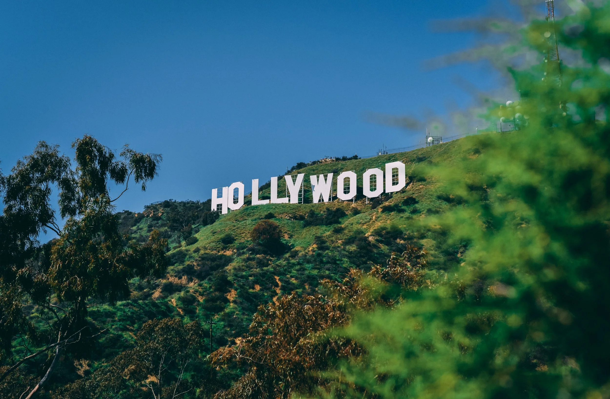 Image of Hollywood sign with green grass, trees and blue sky