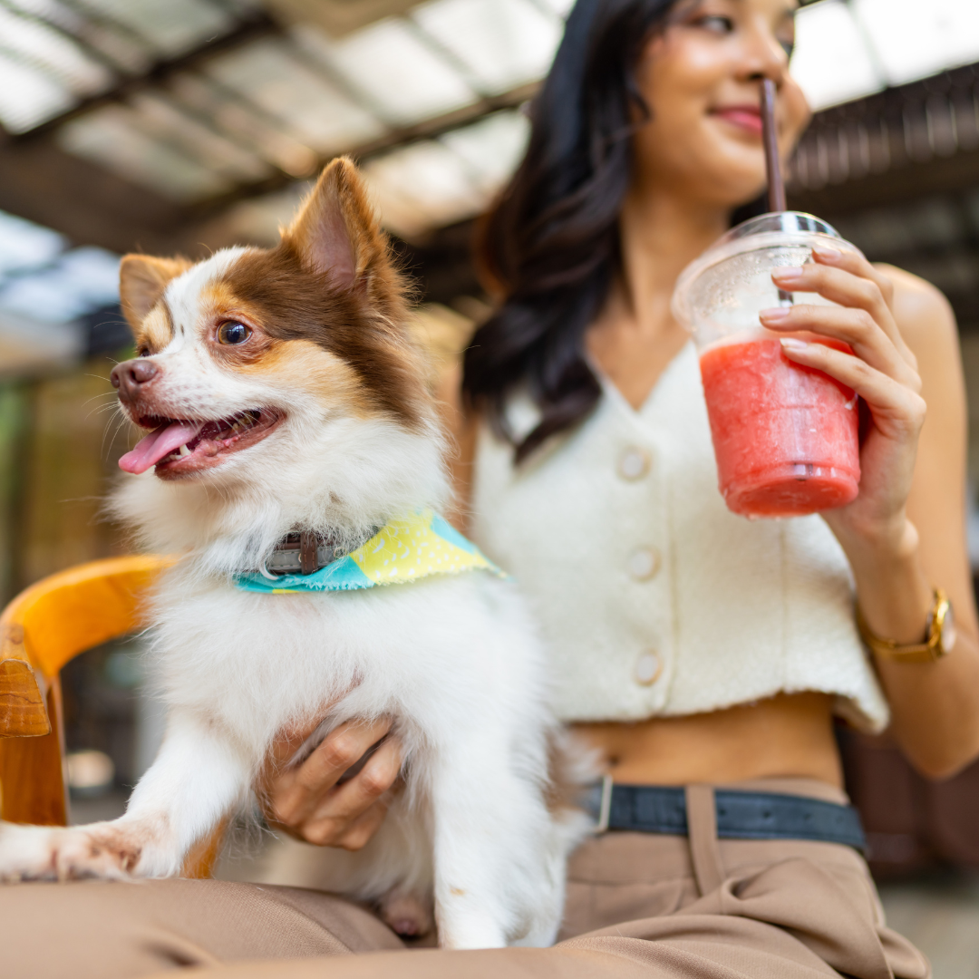 young women sitting at a pet friendly restaurant in Jacksonville Florida