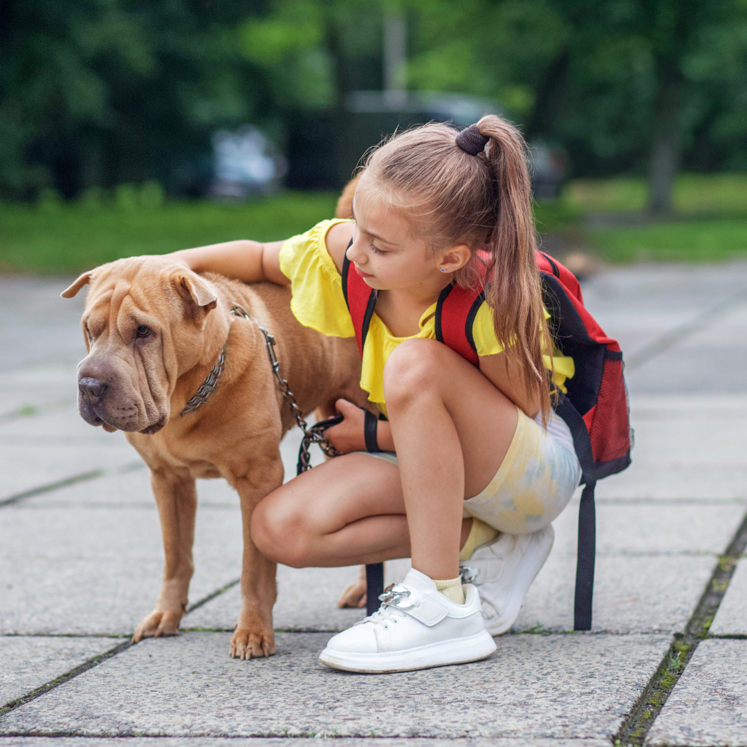 Girl with backpack spending time with her dog during back-to-school season