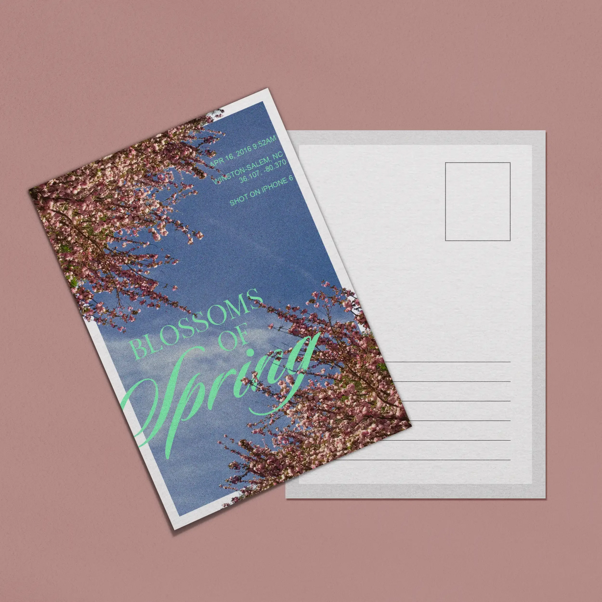 spring.webp