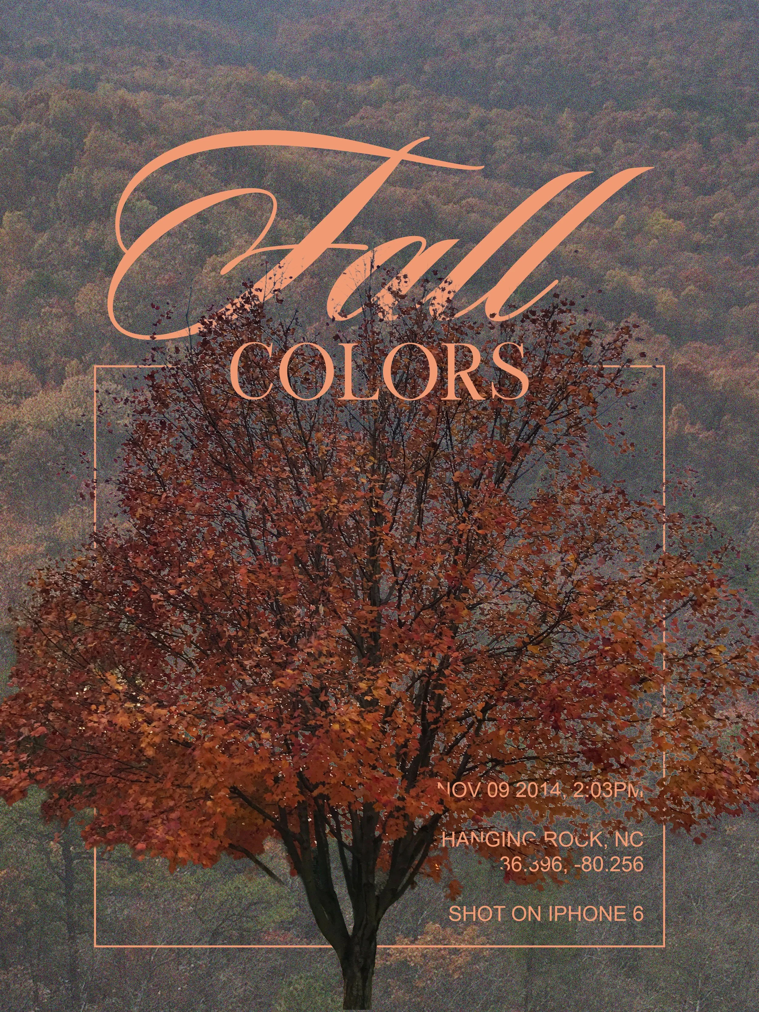 After moving to New York City, I developed a new-found appreciation for fall in the North Carolinian mountains. Adobe Firefly's AI helped me finalize the layout of this poster.